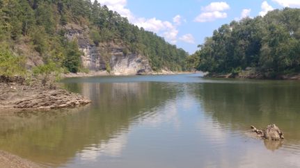 Timberland Property in Montgomery County, Arkansas
