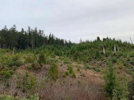 Recreational Property in Douglas County, Oregon
