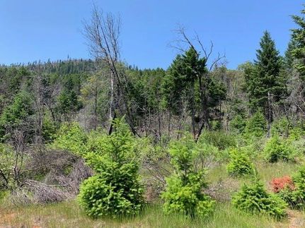 Property in Josephine County, Oregon