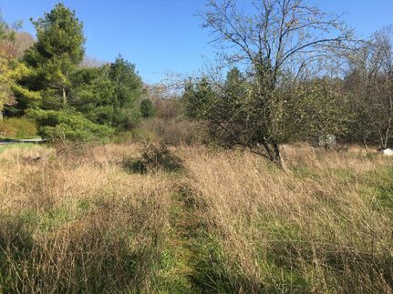 Farm Property in Floyd County, Virginia