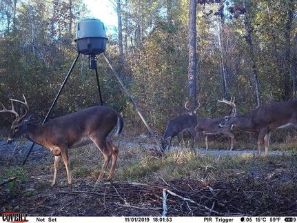 Farm Property in Bullock County, Alabama