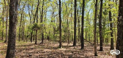 Property in Baxter County, Arkansas