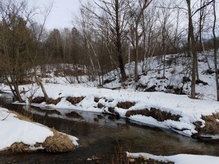 Hunting Land in Vernon County, Wisconsin