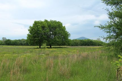 Farm Property in Le Flore County, Oklahoma