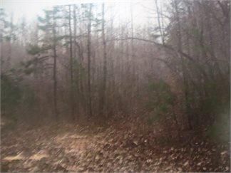 Residential Property in Prince Edward County, Virginia