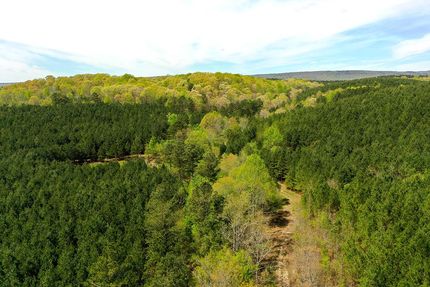 Timberland Property in Chattooga County, Georgia
