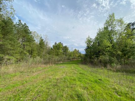 Ranch Property in Lafayette County, Arkansas