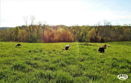 Hunting Land in Clayton County, Iowa