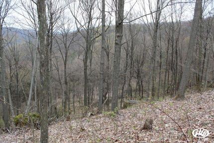 Farm Property in Blair County, Pennsylvania