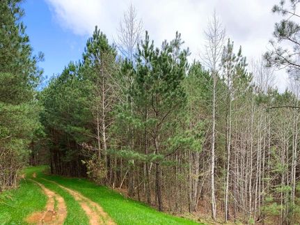 Timberland Property in Pickens County, Georgia