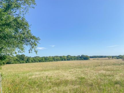 Undeveloped Land in Grimes County, Texas
