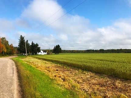 Hunting Land in Langlade County, Wisconsin