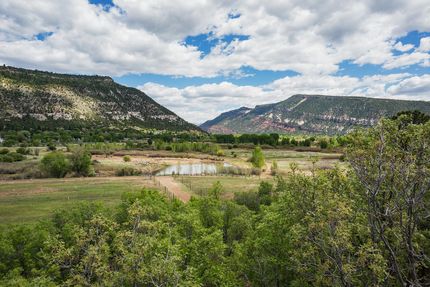 Timberland Property in La Plata County, Colorado