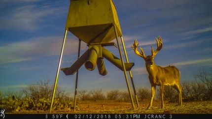 Property in Throckmorton County, Texas