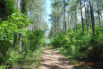 Farm Property in Jefferson County, Georgia