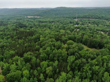 Timberland Property in Blount County, Alabama