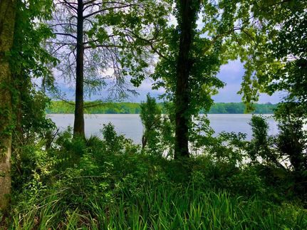 Undeveloped Land in Wilcox County, Alabama