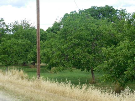 Farm Property in Sutter County, California