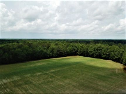 Ranch Property in Lee County, South Carolina