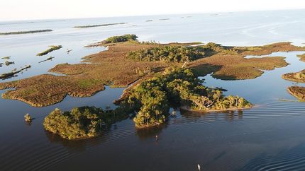 Waterfront Property in Levy County, Florida