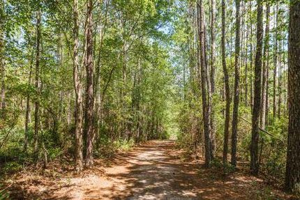 Farm Property in Effingham County, Georgia