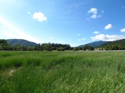 Undeveloped Land in Siskiyou County, California