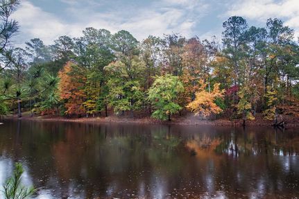 Farm Property in Shelby County, Alabama