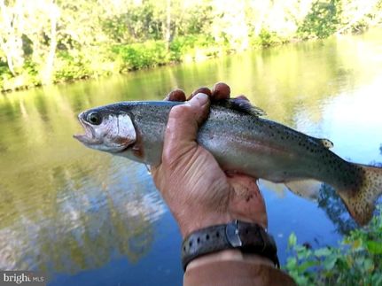 Waterfront Property in Mineral County, West Virginia