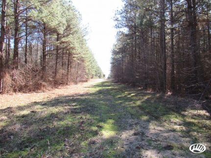 Recreational Property in Cleveland County, Arkansas