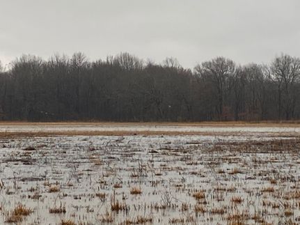 Farm Property in Woodruff County, Arkansas
