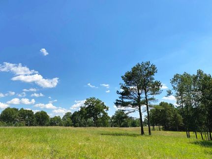 Timberland Property in Cullman County, Alabama