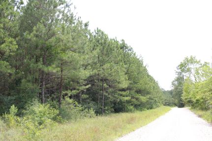 Farm Property in Polk County, Texas
