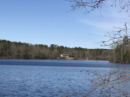 Lakefront Property in Randolph County, Georgia