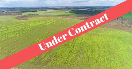 Undeveloped Land in Crisp County, Georgia