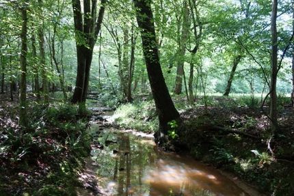 Ranch Property in Union County, South Carolina