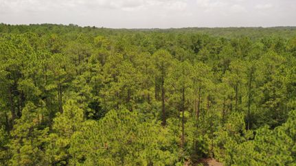 Waterfront Property in Escambia County, Florida