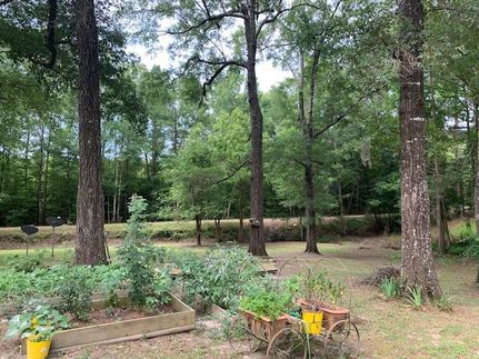 Property in Grant Parish, Louisiana