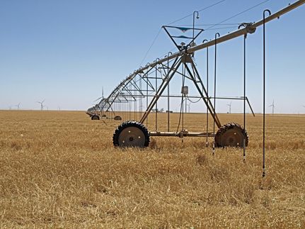 Farm Property in Castro County, Texas