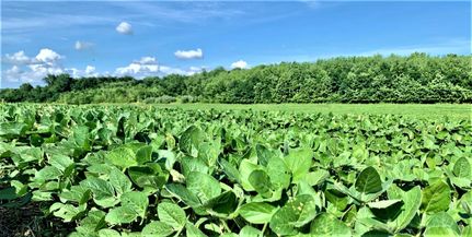 Farm Property in Audrain County, Missouri