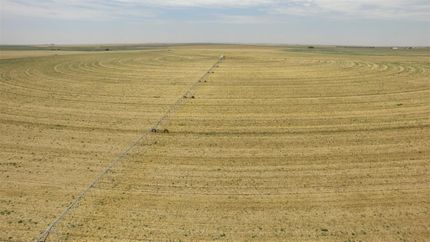 Farm Property in Castro County, Texas