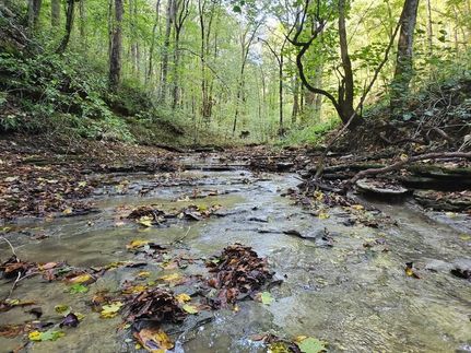 Farm Property in Clay County, Tennessee