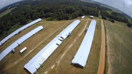 Property in Worth County, Georgia