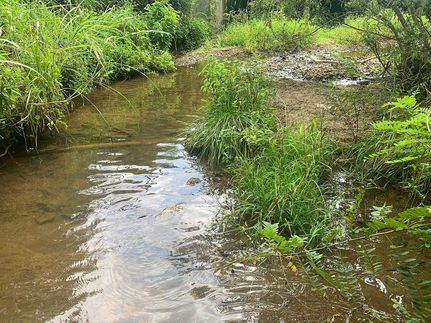 Ranch Property in Independence County, Arkansas
