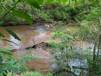 Hunting Land in Barrow County, Georgia