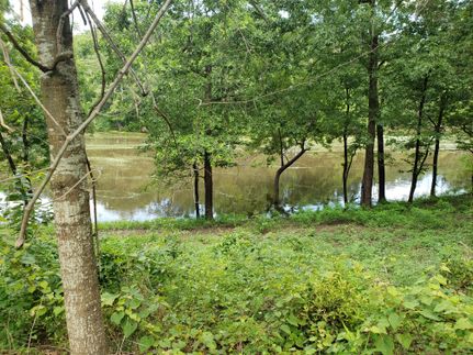 Waterfront Property in Union Parish, Louisiana