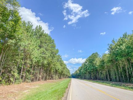 Ranch Property in San Jacinto County, Texas