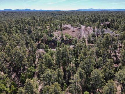 Undeveloped Land in Navajo County, Arizona