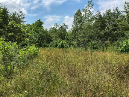 Farm Property in Gallia County, Ohio