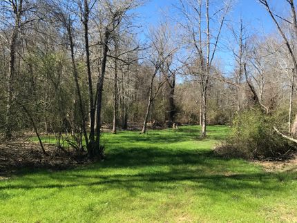 Recreational Property in Macon County, Alabama