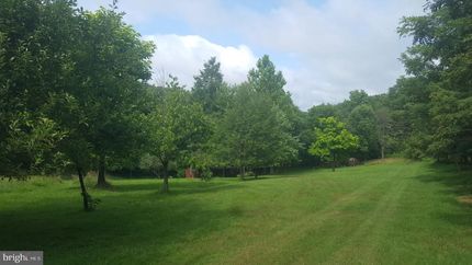 Timberland Property in Hampshire County, West Virginia